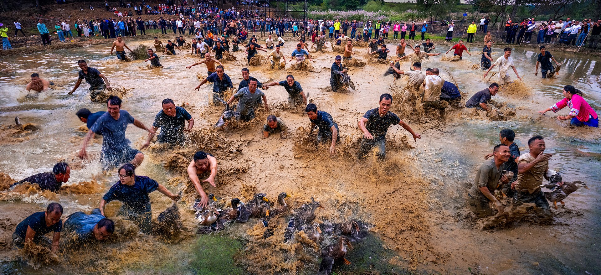 Competing to grab ducks together