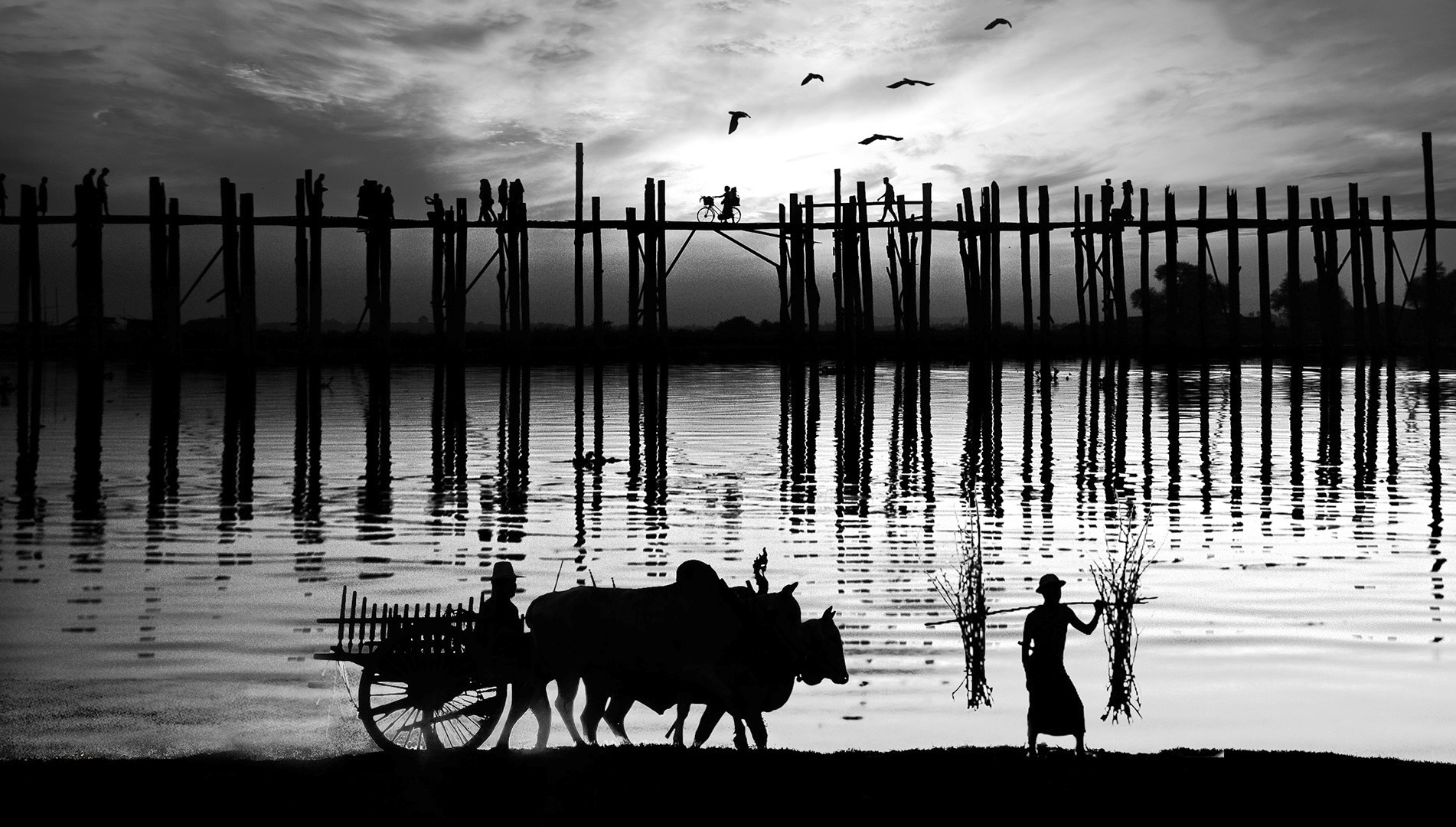 Silhouette under the bridge