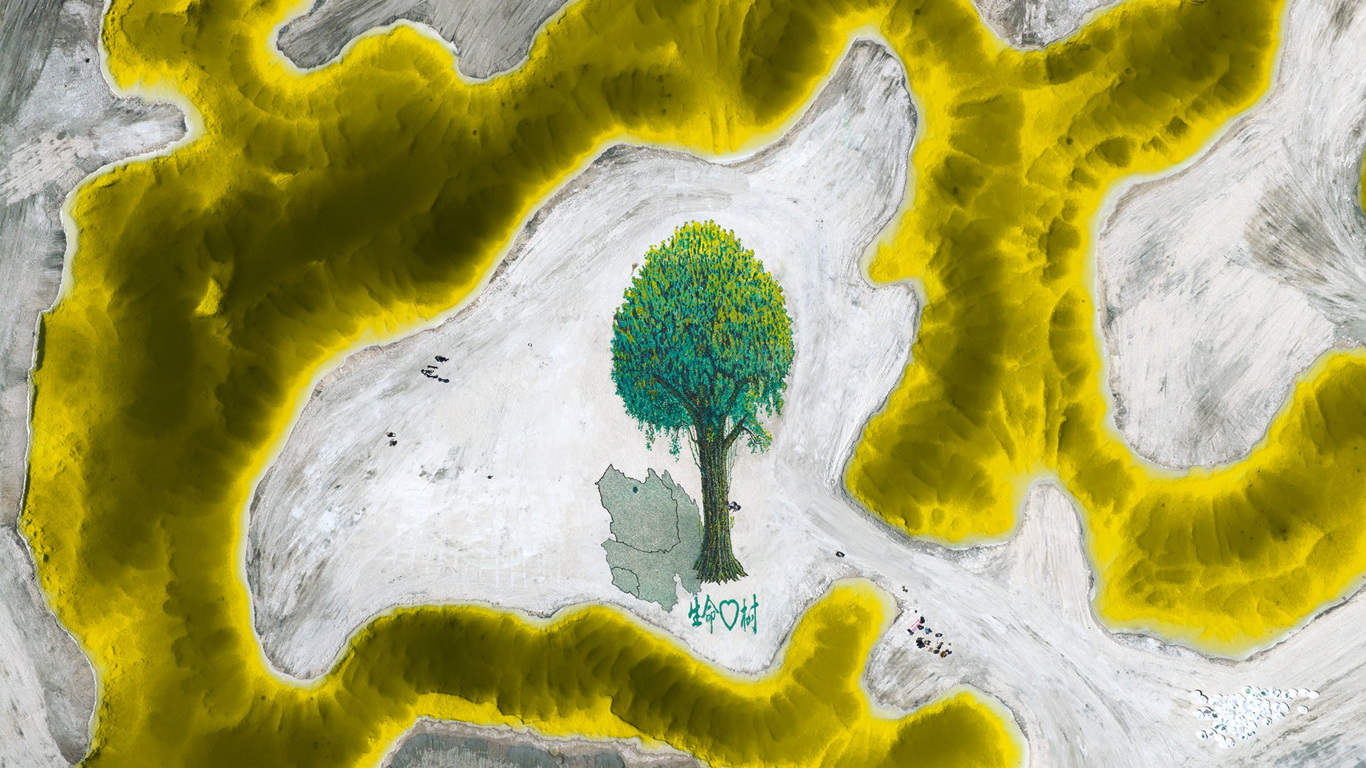 Tree Of Life